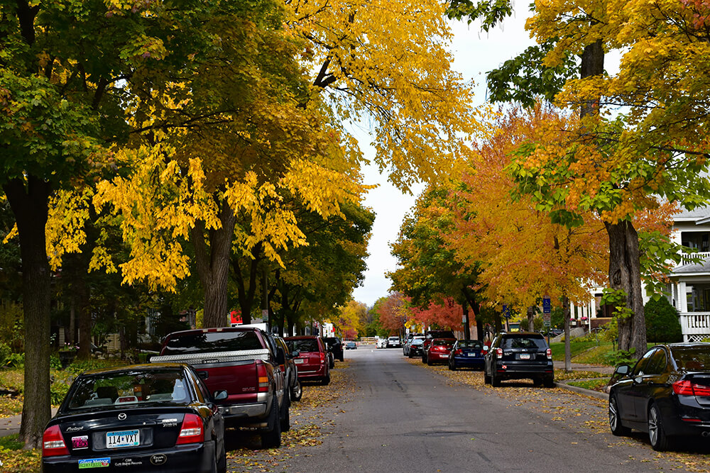 car on road with trees